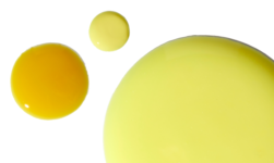 What’s the Difference? – Kate Somerville US